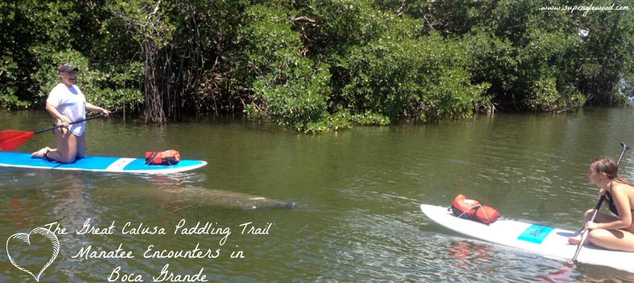 Paddle Board and Kayak in Boca Grande