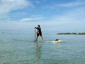 Paddle board Lessons