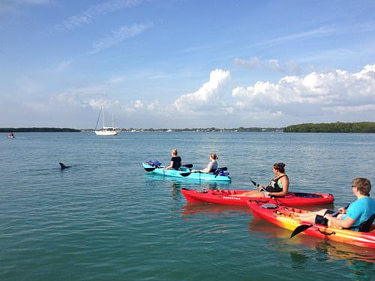 Kayak Rentals and Guided Eco Tours in Englewood Florida