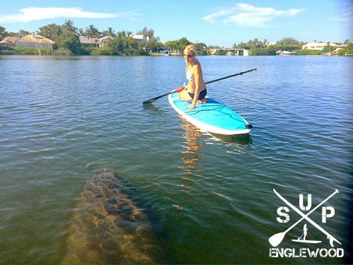 Paddle Board Guided Eco Tours