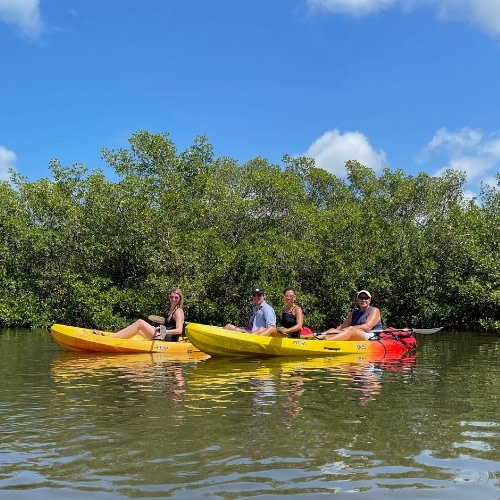 Palm Island Kayak Rentals